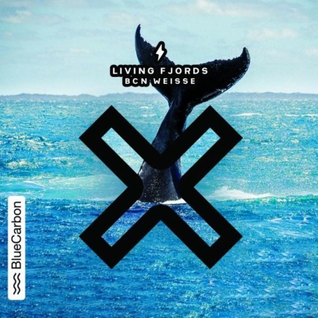 Living Fjords 6.5%, Garage Beer Co., Spain