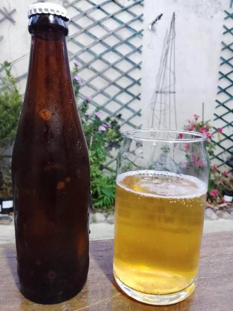 LOCAL Lager 4.8%, LOCAL Brewery & Co, South Africa