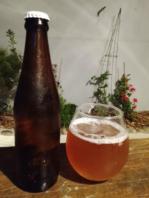 LOCAL PALE ALE 5.1%, LOCAL Brewery & Co, South Africa