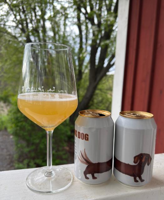 Long Dog 5.9%, Fermenterarna, Sweden