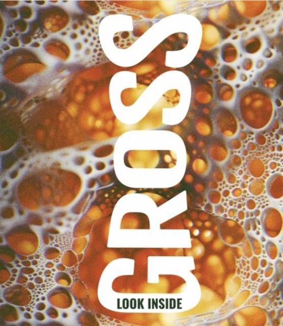 Look Inside 6.0%, Gross, Spain