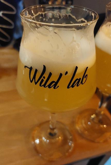 Loophole (2024) 6.0%, Blackout Brewing, Romania