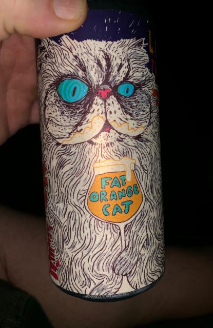 Lorenzo The Beer Cat 8.0%, Fat Orange Cat Brew Co., United States