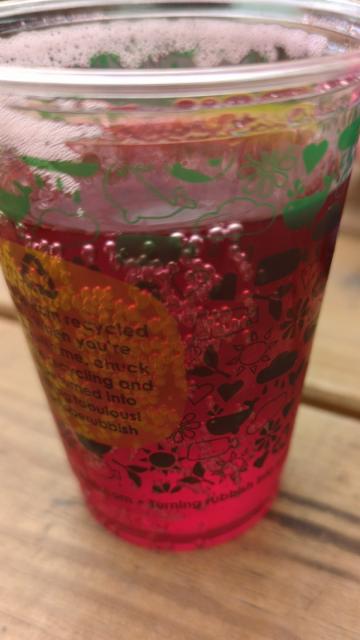 Lost orchard cider 3.5%, Sandford Orchards, England