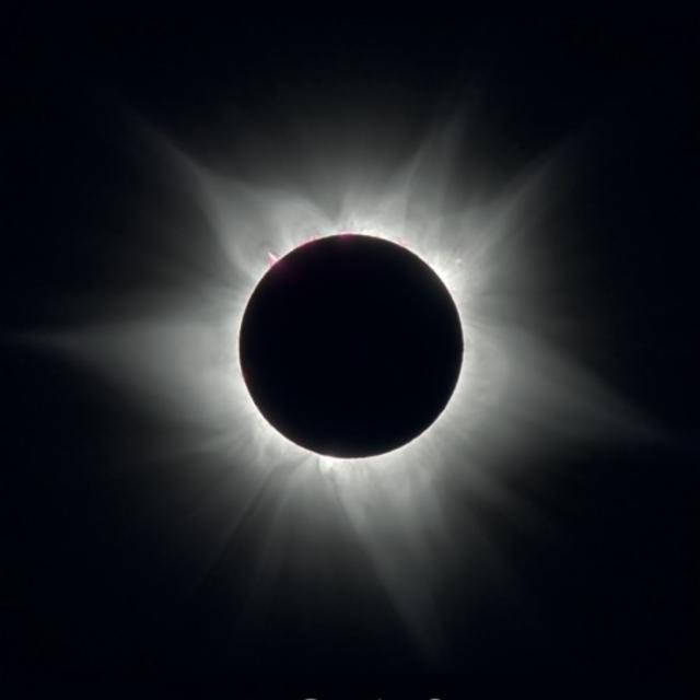 Lotus 6.5%, Zagovor Brewery, Russia