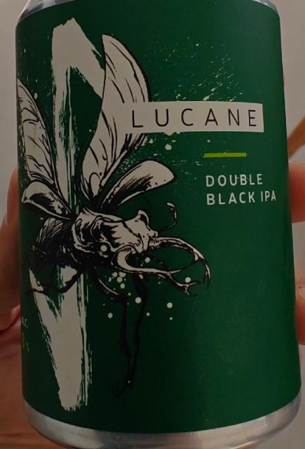 Lucane, La Source Beer Co.