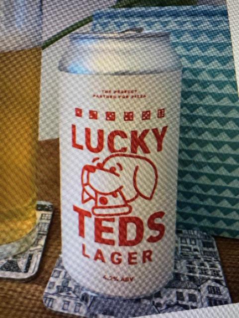 Lucky Teds 4.2%, Play Brew Co, England