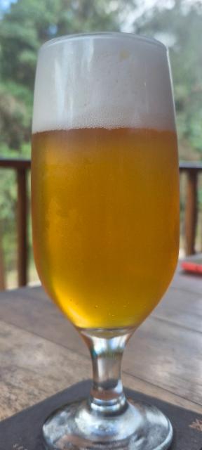 Lumen 6.0%, Zalaz Microbrewery, Brazil