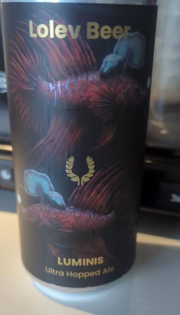 Luminis, Lolev Beer