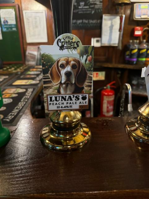 Luna's, Little Critters Brewery