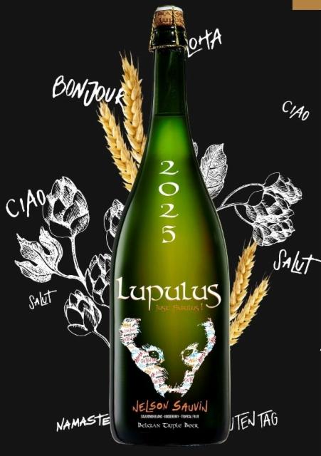 lupulus dry hop nelson sauvin 2025 8.5%, Brasserie Lupulus, Belgium