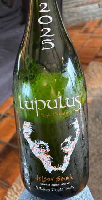 Lupulus IPA 2025 (brassin éphémère) 8.5%, Brasserie Lupulus, Belgium