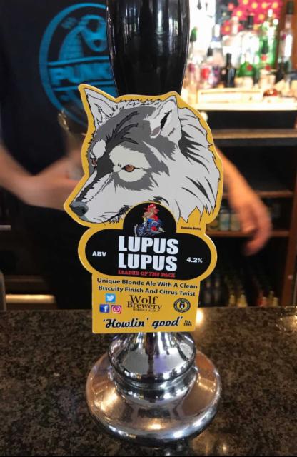 Lupus Lupus 4.2%, The Wolf Brewery, England