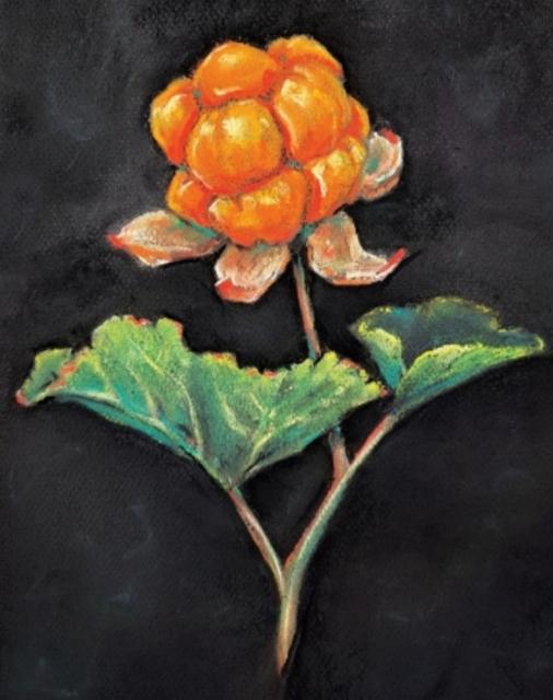 Lyeme 5.4%, Paihalas Brewery, Finland