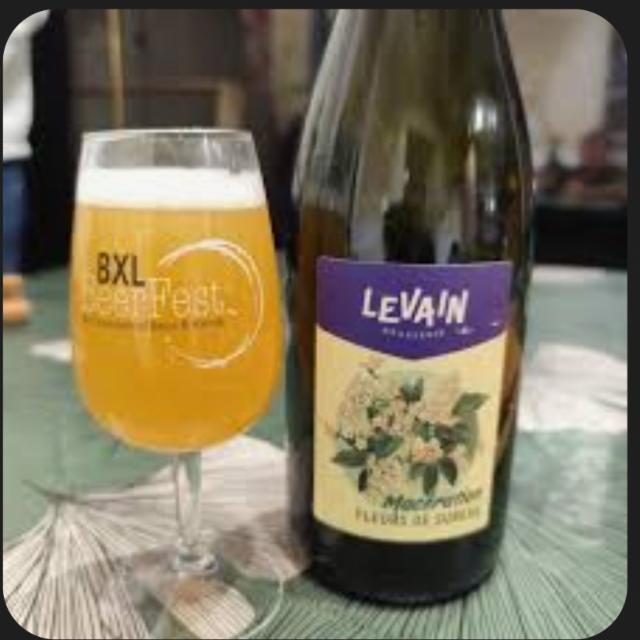 Macération fleurs de sureau, Brasserie Levain