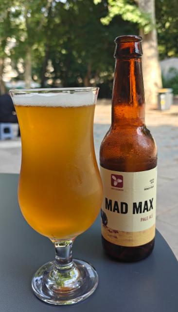 Mad Max Pale Ale 6.0%, Bayo, Georgia