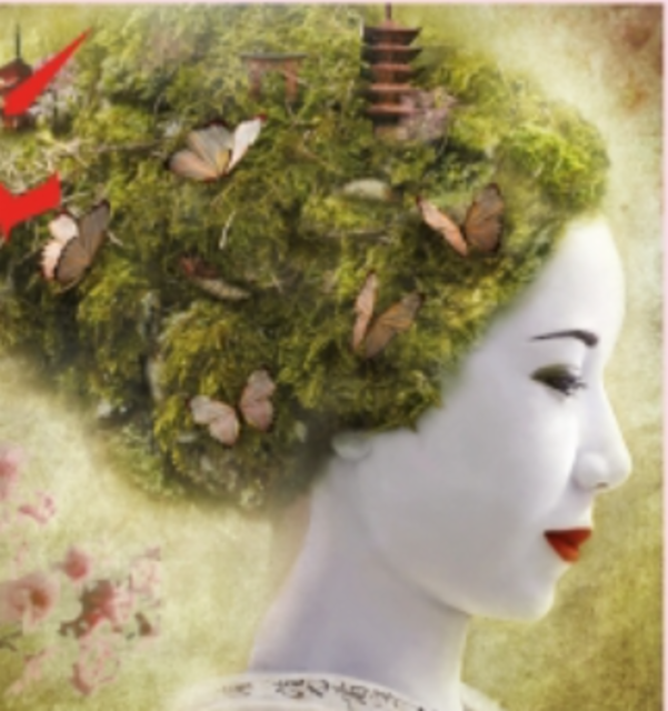 Madame Butterfly 6.0%, Pühaste, Estonia