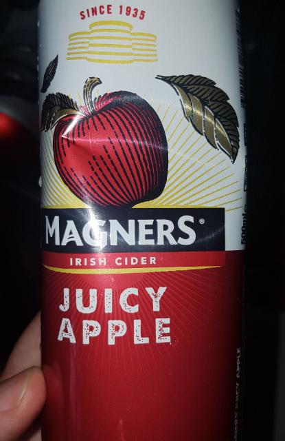 Magners Juicy Apple 4.5%, The Shepton Mallet Cider Mill, England