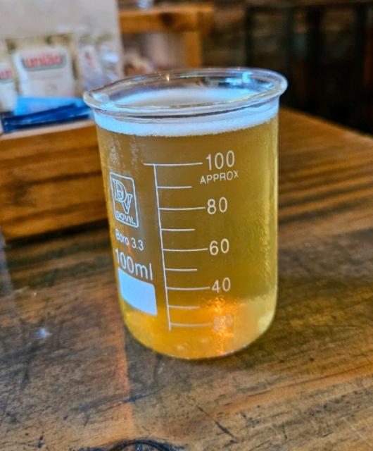 Major Tom 5.0%, Hocus Pocus, Brazil