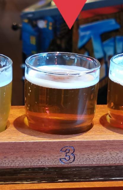 Make It Weisse 5.0%, Evil Twin Brewing NYC, United States