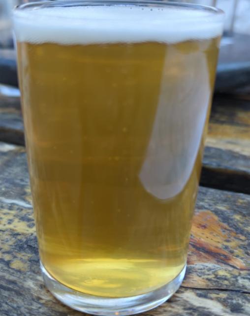 Man Bun 7.0%, South Haven Brewpub, United States