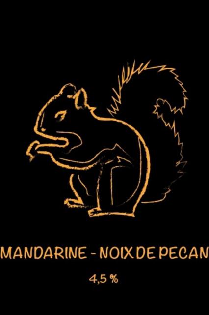 Mandarine noix de pecan 4.5%, Brasserie Pikadili, France