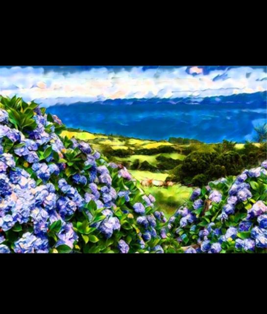 Maria's Garden 12.7%, Barreled Souls Brewing Company, United States