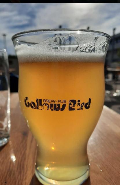 Marjatta Sour 5.8%, Brew-Pub Gallows Bird, Finland