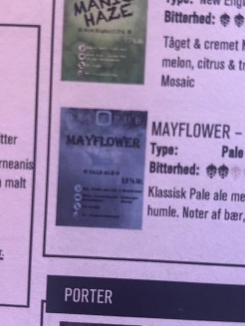 Mayflower 5.0%, Brewpub København, Denmark