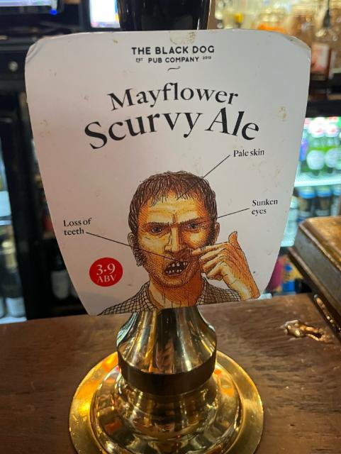 Mayflower Scurvy Ale 3.9%, The Black Dog Pub Company, England