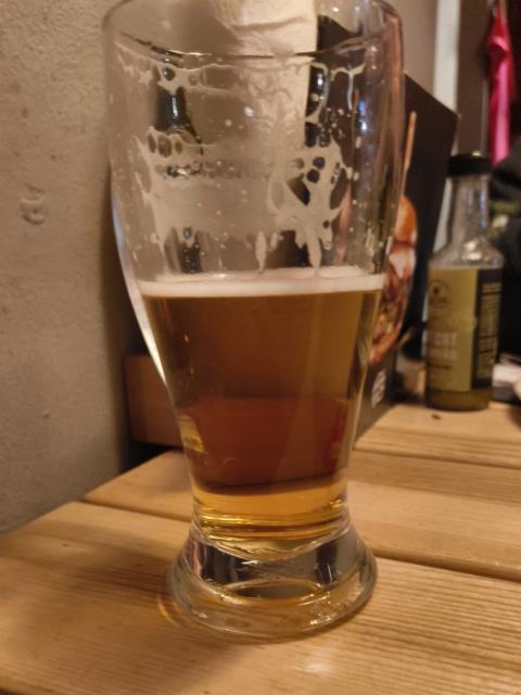 mayor 12° 5.0%, Primátor, Czech Republic