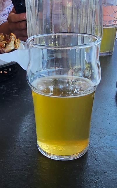 Mediterranean Sour 5.5%, Back Forty Beer Company, United States