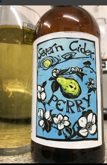 Medium Sparkling Perry 5.2%, Severn Cider, England