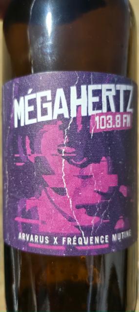megahertz 103,8FM 5.2%, Arvarus, France