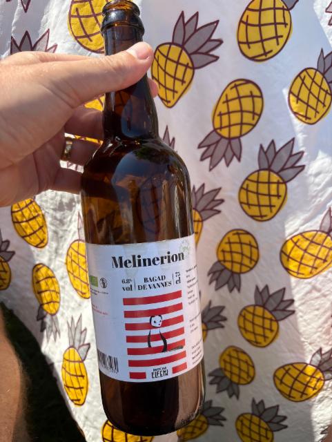 Melinerion ipa 6.8%, Elfenn, France