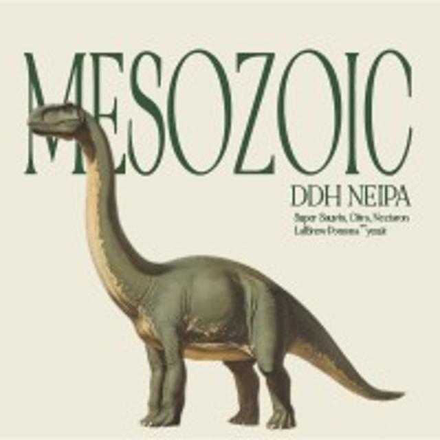 Mesozoic 6.0%, Prizm Brewing Co., France