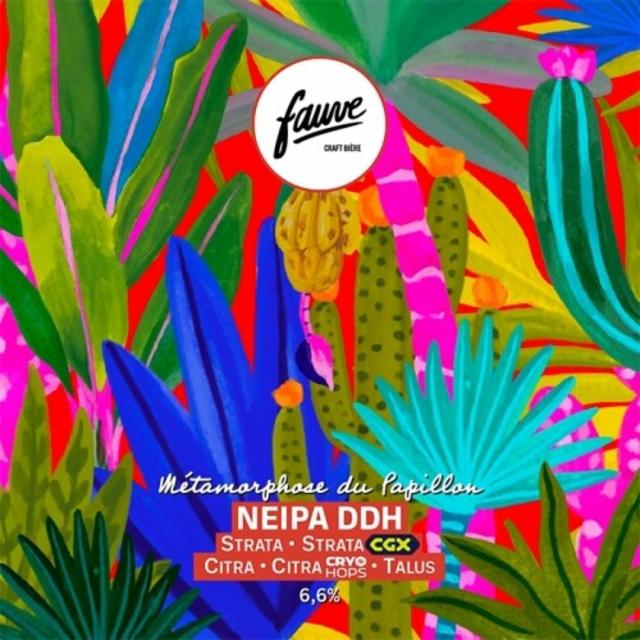 Métamorphose Du Papillon 6.6%, Fauve, France
