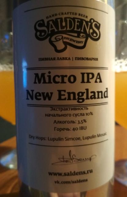 Micro IPA New England 3.5%, Salden's Brewery, Russia