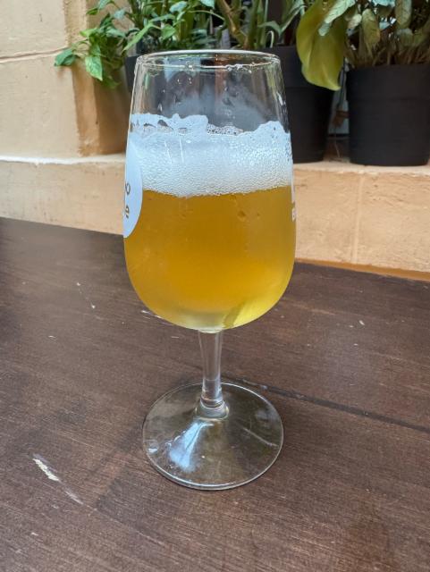 Micronos, Brasserie Hôp[i] (Hôpi)
