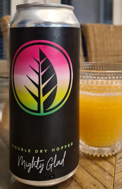 mighty glad 8.0%, Deciduous Brewing Company, United States