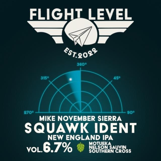 Mike November Sierra Squawk Ident 6.7%, Flight Level Brewing, Finland