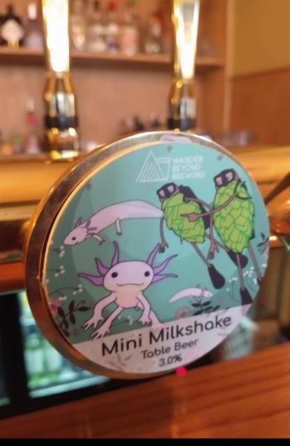 Mini Milkshake 3.0%, Wander Beyond Brewing, England