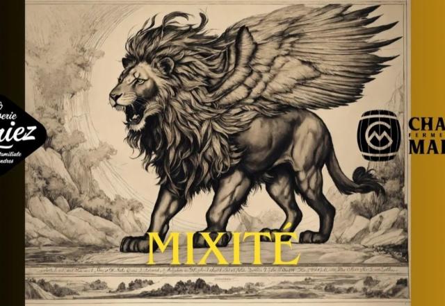 Mixité 5.8%, Brasserie Thiriez, France