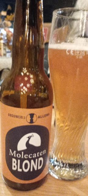 molecaten blond 6.3%, Brouwery Allema, Netherlands