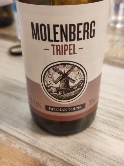 Molenberg tripel, Brewery De Meester