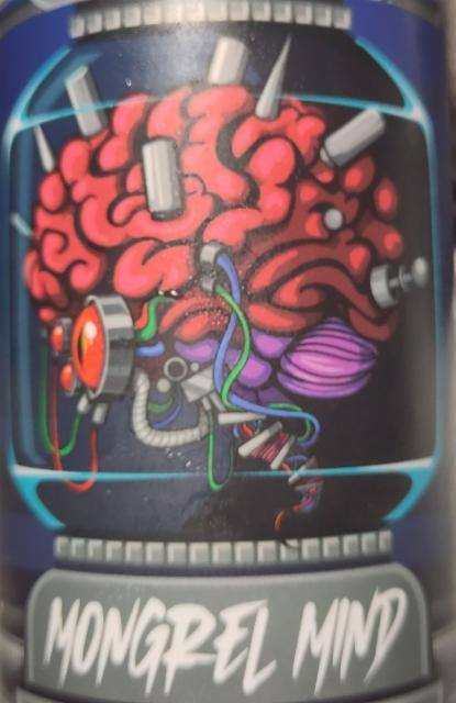 Mongrel Mind 9.3%, Saint Errant Brewing, United States