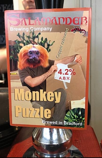 Monkey Puzzle 4.2%, Salamander Brewing Company, England