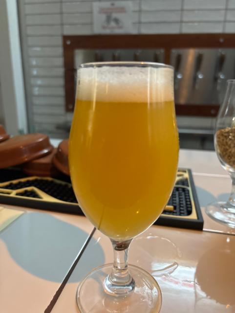 Monorail 7.0%, Oso Brew Co., Spain