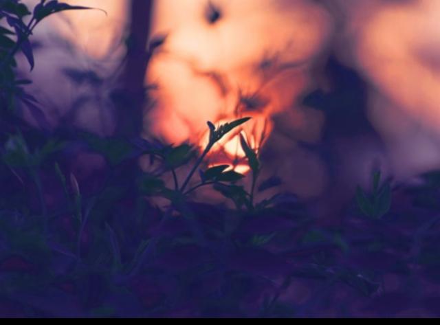 Monumension 7.8%, Spartacus Brewing, Brazil