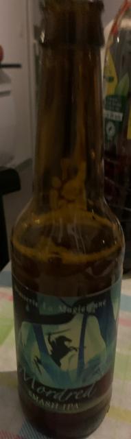 Mordred, La Magicienne